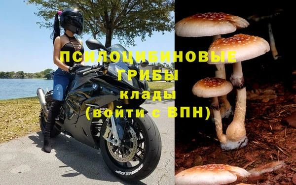 меф Арсеньев