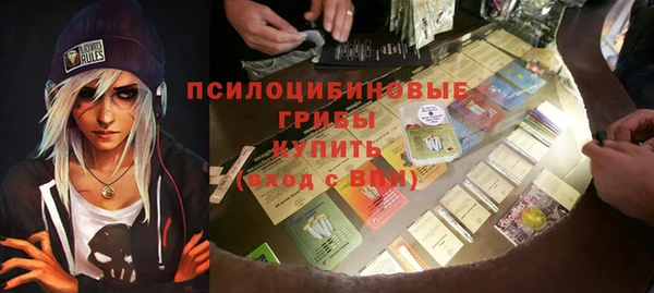 меф Арсеньев